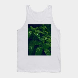 Dew drops on forest leaves gradient photo Tank Top